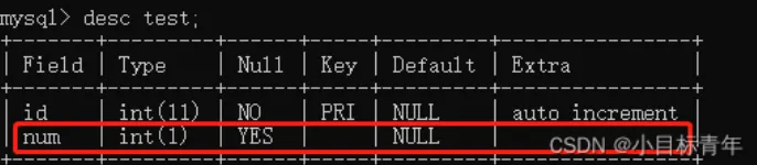 Mysql 关于 int（1） 和 int(11) , 我必须要说一下了。