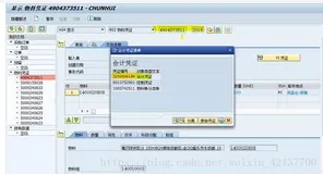 SAP Link Between Material Document and Accounting Document Table