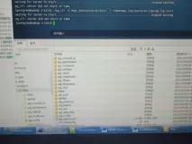 pg_ctl: server did not start in time