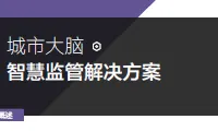 城市大脑 | 智慧监管解决方案