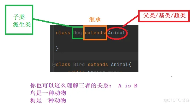 【JAVA SE】——包、继承、多态、抽象类、接口 ( 巨细！总结 )_java_07