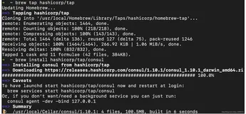 macOS下载、安装和启动consul