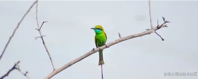 SpringBoot 系列教程 Mybatis+xml 整合篇