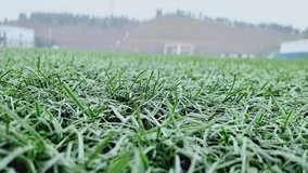 java向MySQL数据库储存表情包的那些事儿