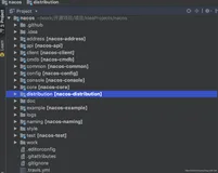 【Nacos源码之配置管理 一】阅读源码第一步,本地启动Nacos