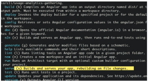 Angular 项目 ng serve 背后发生的事情