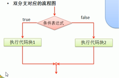 双分支|学习笔记