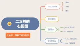 ACM 选手图解 LeetCode 二叉树的右视图