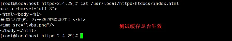 Apache——网页优化与安全(三)
