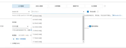 ECS安装Anolis操作系统