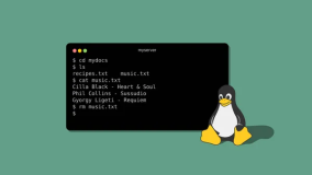 Linux Command 介绍