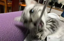 试用期没过，因在公司上了 1024 网站...