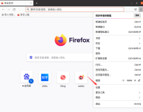Firefox配置阿里云DNS