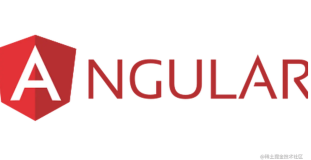 Angular 中自定义 Video 操作