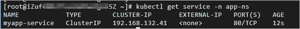 使用Kubectl部署web服务到K8s集群-2