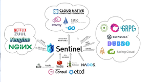 3.6 Spring Cloud 实战集成 Sentinel 熔断限流| 学习笔记