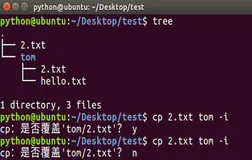 Linux基础命令——cp和mv命令选项