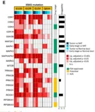 R 实战| 几种常用的绘制离散变量热图/方块图/华夫图的方法