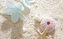 【MyBatis系列1】基础知识（上）