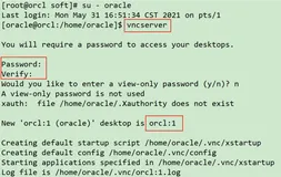 Linux 配置 VNC 远程桌面