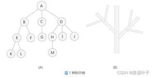 【数据结构】树的定义、树的存储结构