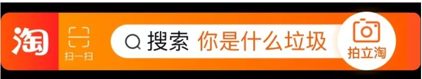 淘宝AI“扫”完垃圾还能上门回收