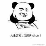 python常见的运算符及用法