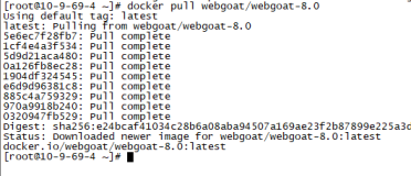 Centos7下Docker上部署webgoat(用来演示Web应用程序中的典型安全漏洞的应用程序)