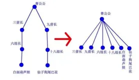 Leetcode --- 并查集相关题目
