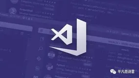 5款冷门却超级好用的VS Code插件