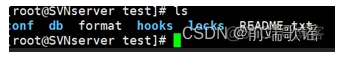 linux篇-新建svn仓库