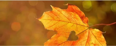 SpringBoot + thymeleaf foreach踩坑记录