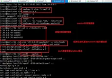 K8s多节点部署+负载均衡+keepalived ——囊萤映雪