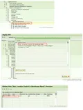 SAP WM高阶Storage Location Control