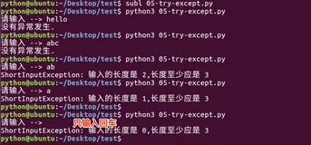 自定义异常 | 手把手教你入门Python之七十九