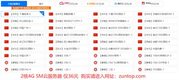 适合亚马逊外贸店铺群控的远程VPS云服务器租用及操作指南