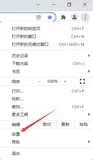 Chrome配置DNS
