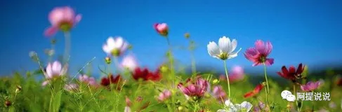 【Spring】-Spring Cloud 组件介绍