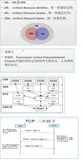 C#编程-138：网络编程基础