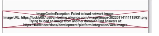 Flutter web问题：Failed to load network image