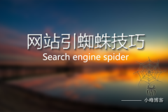 “爆料”搜索引擎蜘蛛是靠引导的，而不是佛系优化
