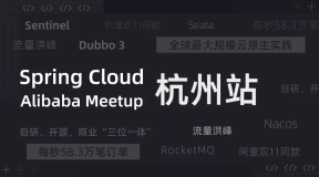 12 月 5 日 Spring Cloud Aliababa Meetup 杭州站 双11特别活动