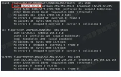 VMware 虚拟机 - 桥接模式下，虚拟网卡没有 ip