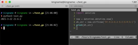 一日一技：一根短横线在Golang 和 Python 中的妙用。