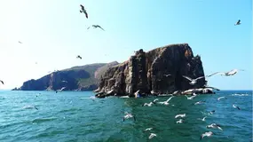 Zookeeper从入门到放弃之Zookeeper典型应用场景