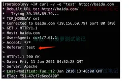 Linux - curl 命令（下）