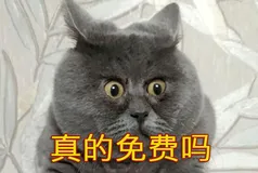 Apifox免费吗？是的！完全免费