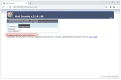 Docker selenium自动化 - 执行程序没反应、不执行原因，强制处理之前失败的进程，“... requests waiting for a slot to be free“问题解决