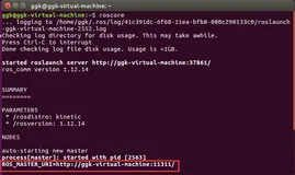 ROS入门笔记（四）：ROS实践（小海龟仿真）— ROS Topics