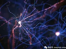 反向传播算法详解和Python代码实现